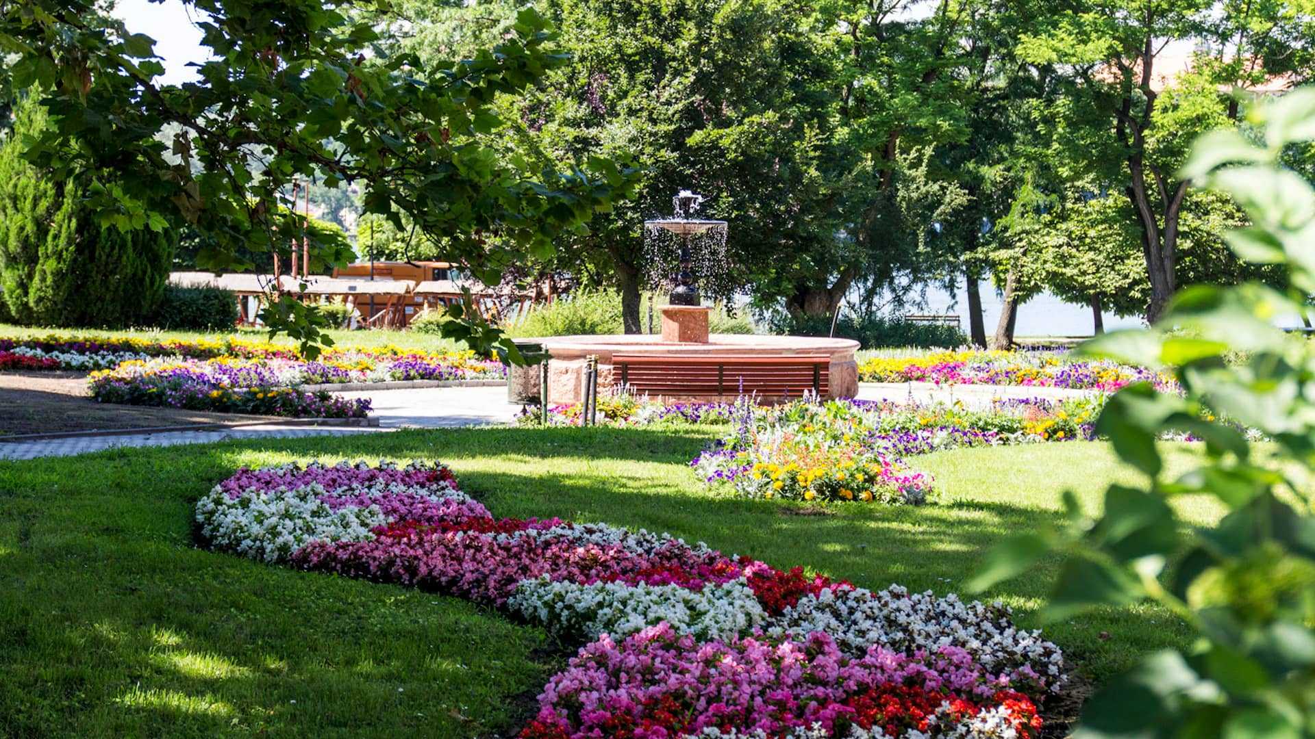 Közterület fertőtlenítés - park fertőtlenítése - Kőtisztítás.eu